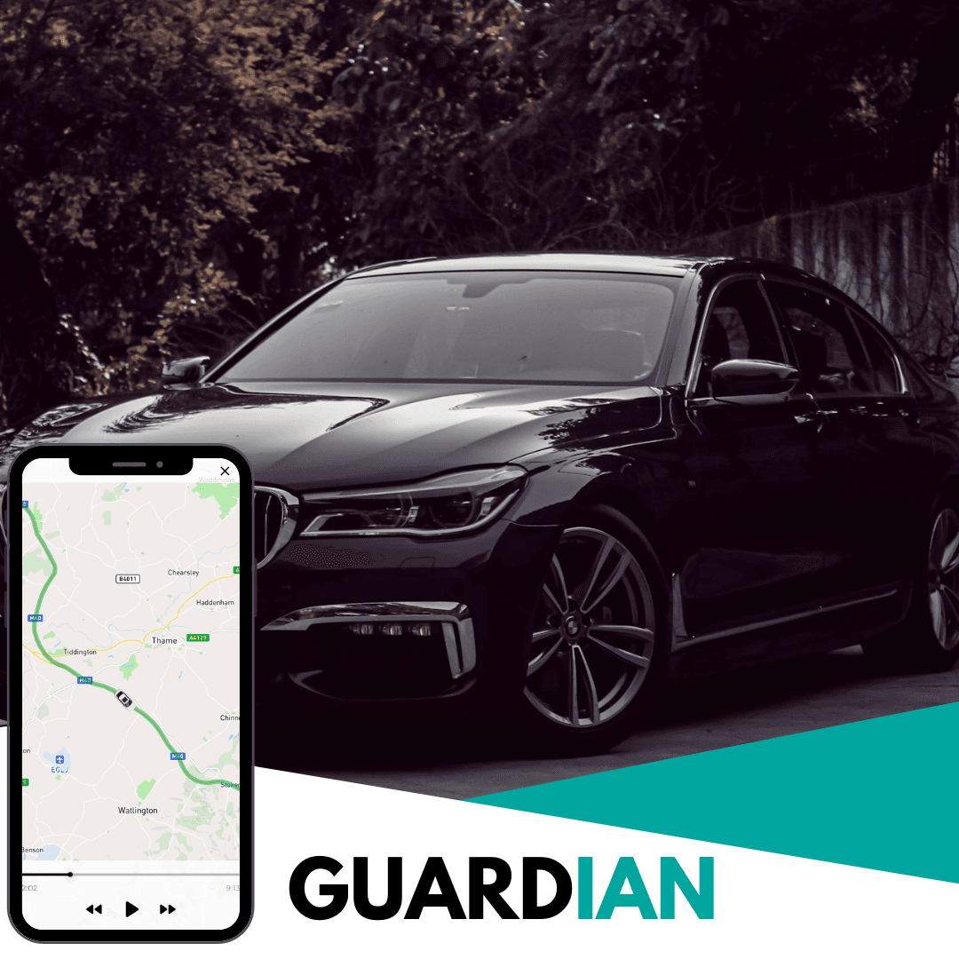Guardian primary image